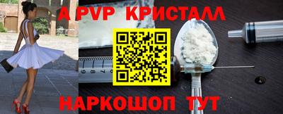 индика Усть-Джегута