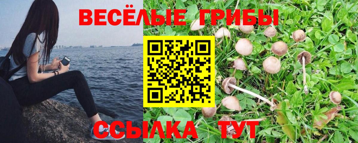 Псилоцибиновые грибы мухоморы  Псилоцибиновые грибы ЛСД  Миасс  Вход с VPN 