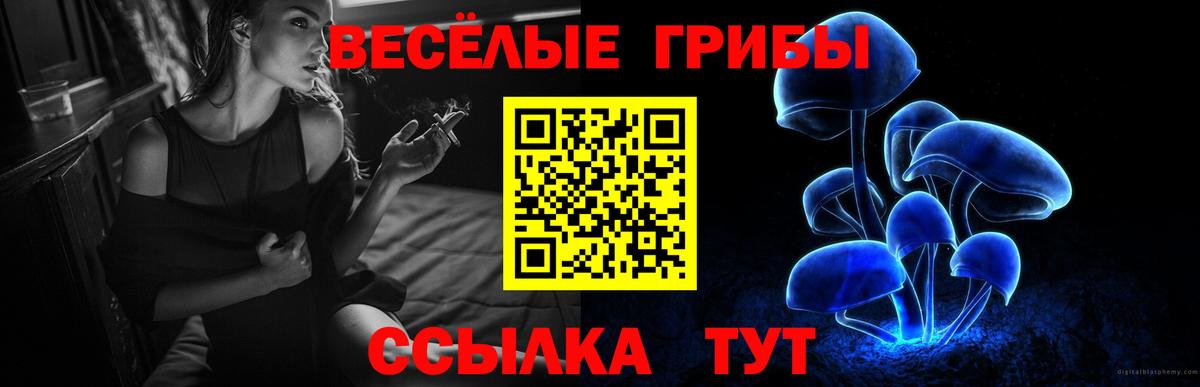 Галлюциногенные грибы мицелий Миасс